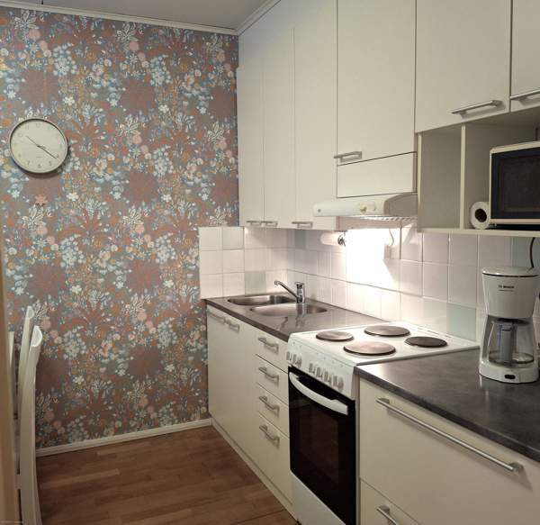 2h + k  Kiuruvesi - valokuva 3