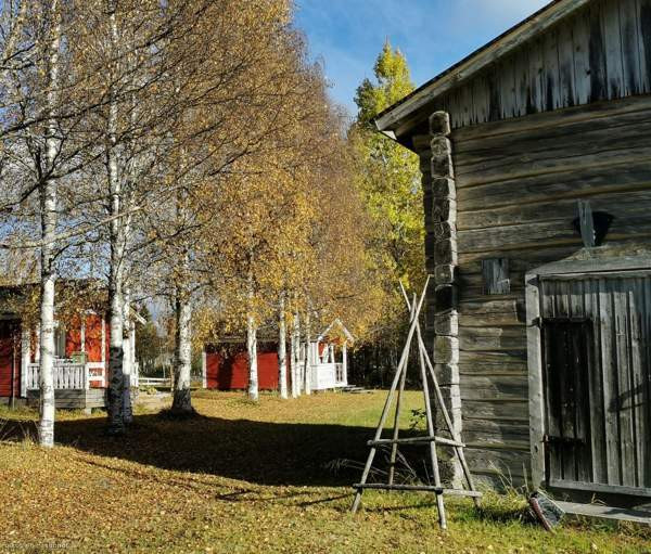 4h + k + s  Ranua – foto 2