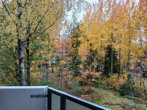 1h + avok + p  Вантаа - изображение 5