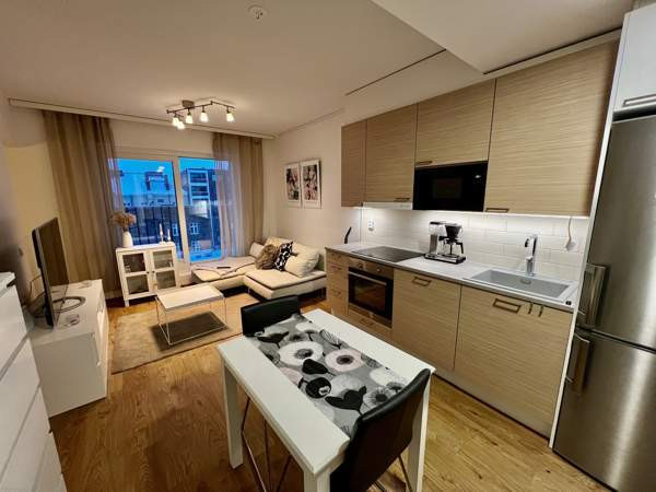 2h/kt + kph + ranskalainen parveke  Тампере - изображение 5