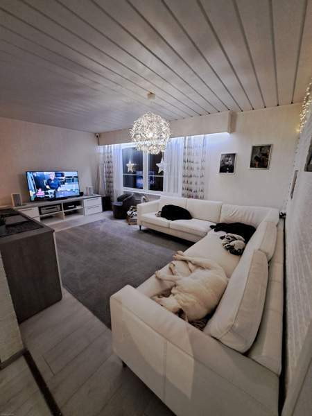 4h + avok + s  Äänekoski – foto 8