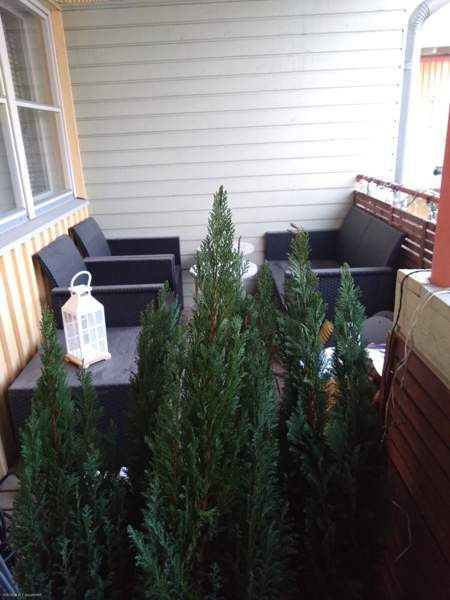 2h(tk)+s+p/t  Вааса - изображение 7