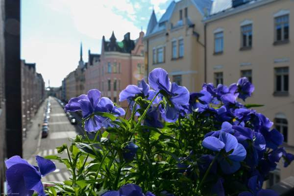 2h + k + kh +vh+ p  Helsinki - valokuva 4