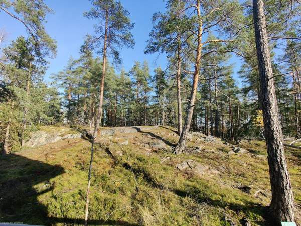 4h + avok + s/kph, wc ja ulkovarasto  Espoo – foto 2