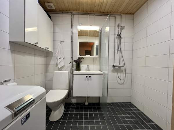 2h + k + s  Lapinlahti - valokuva 5