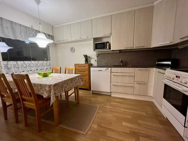 2h + k + s  Lapinlahti - valokuva 1