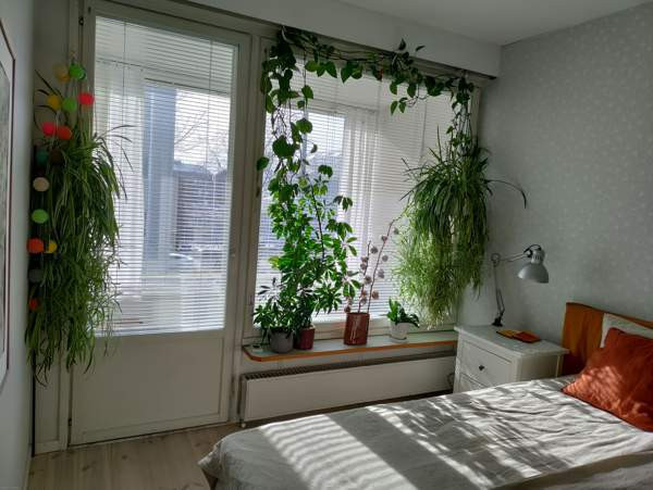 3h + k + et + vh + kph + p  Helsinki - изображение 6