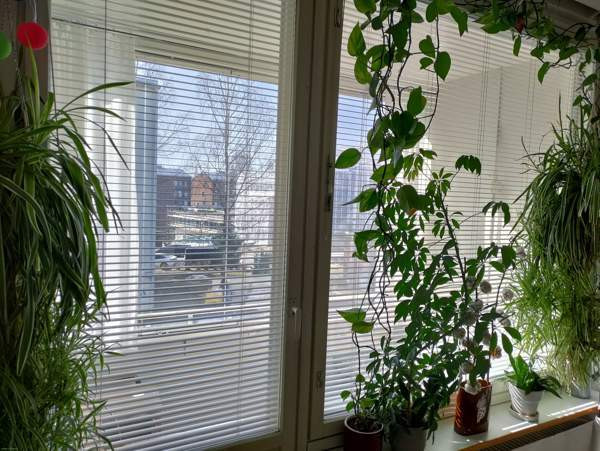 3h + k + et + vh + kph + p  Helsinki - изображение 7