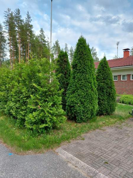 4h + k + 2wc + s + kph + pukuh + khh + varasto + k  Orimattila – foto 2