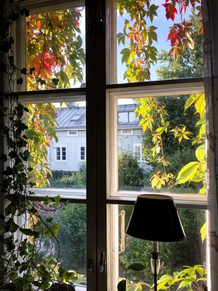 oh + 3mh + k + 2wc + s + kylmä kellari  Турткуль - изображение 6