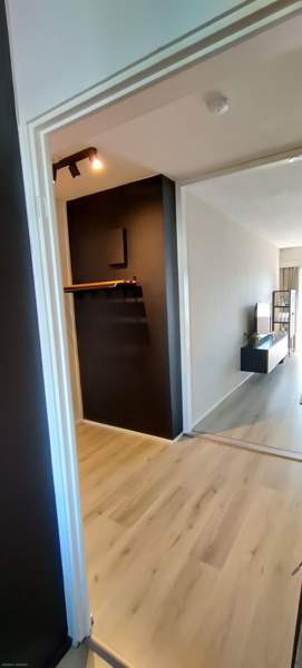 2h + p  Кемин - изображение 3