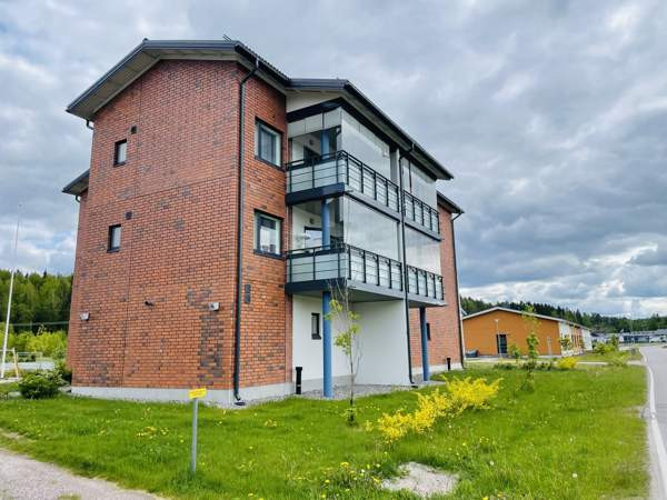 2h + s + p  Vihti - valokuva 7