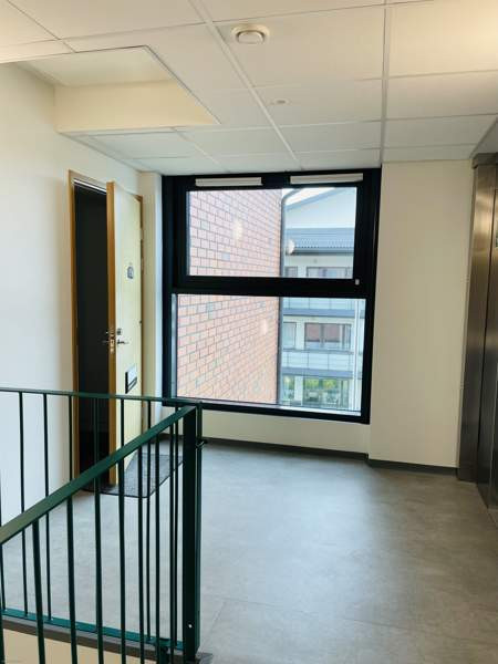 2h + s + p  Vihti - valokuva 8