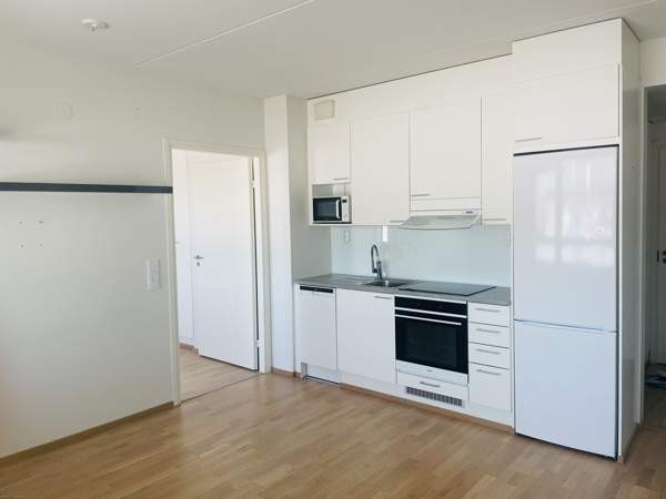 2h + s + p  Vihti - valokuva 1