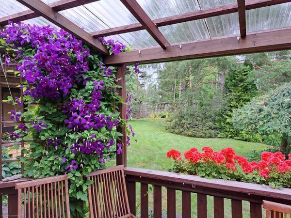 4h + s  Чукотский АО - изображение 3