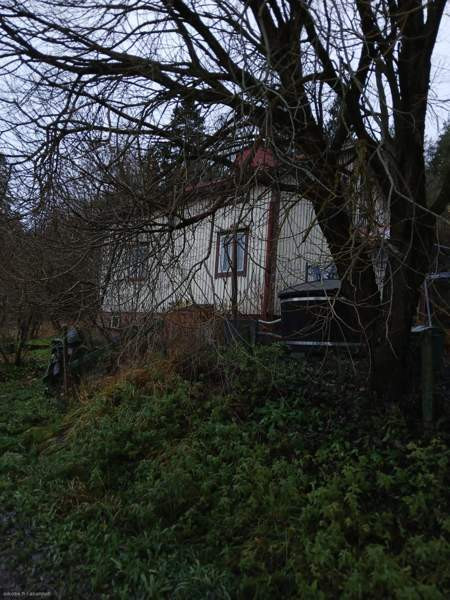 3h + s + p  Punkalaidun - photo 3