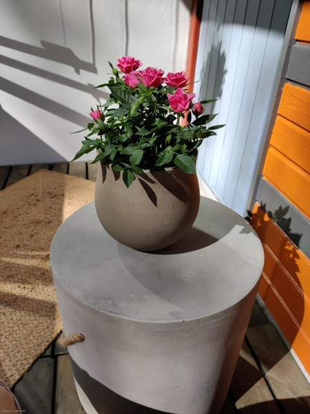 2h + p  Вааса - изображение 4