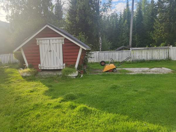 4h + avok + s  Kemin - valokuva 6