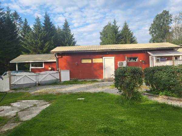 4h + avok + s  Kemin - valokuva 5