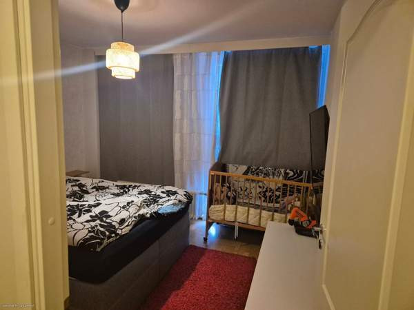 3h + p  Liperi - valokuva 4