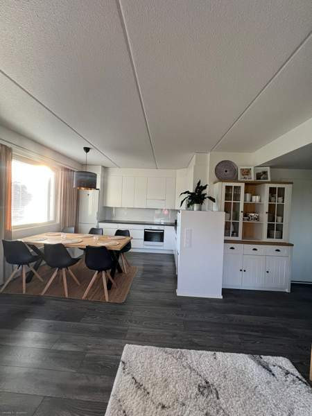 2H+K+S  Каарина - изображение 7