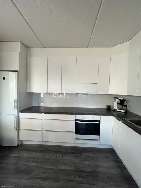 2H+K+S  Каарина - изображение 5