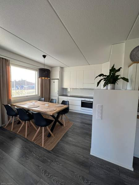 2H+K+S  Каарина - изображение 3