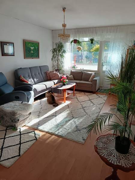 3h + keittiö  Lieksa - изображение 2