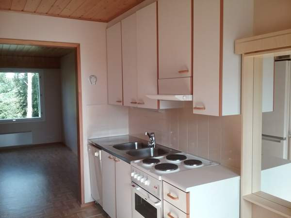 2h + s  Lapinlahti - изображение 2