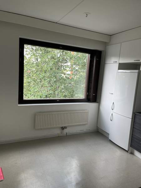 2h + p  Турткуль - изображение 3