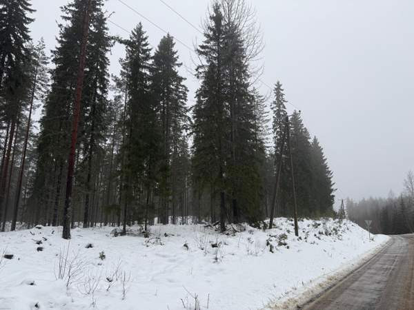 0h  Tammela – foto 5