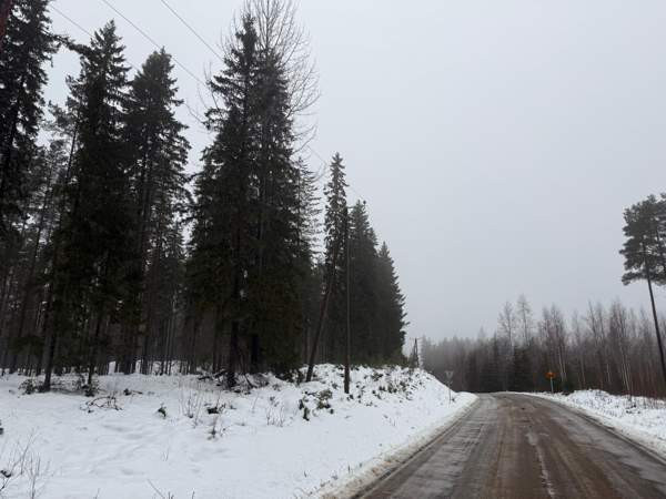 0h  Tammela – foto 1