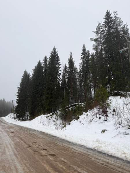 0h  Tammela – foto 8