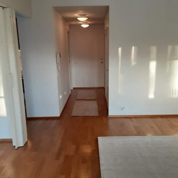 3h + s + p  Maentsaelae - photo 5