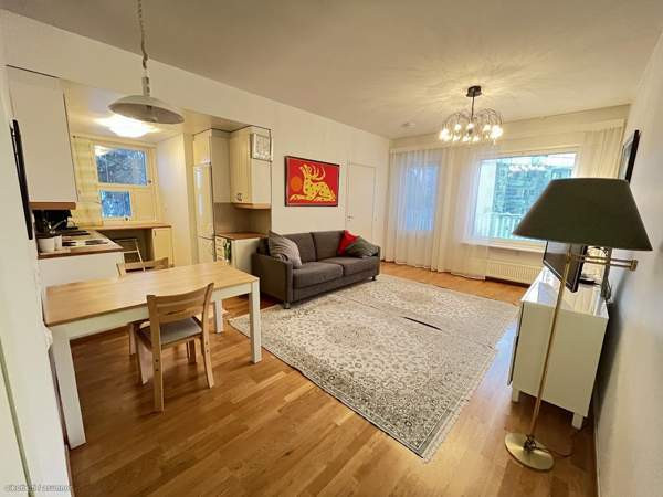 2h + k + s  Rovaniemi - valokuva 2