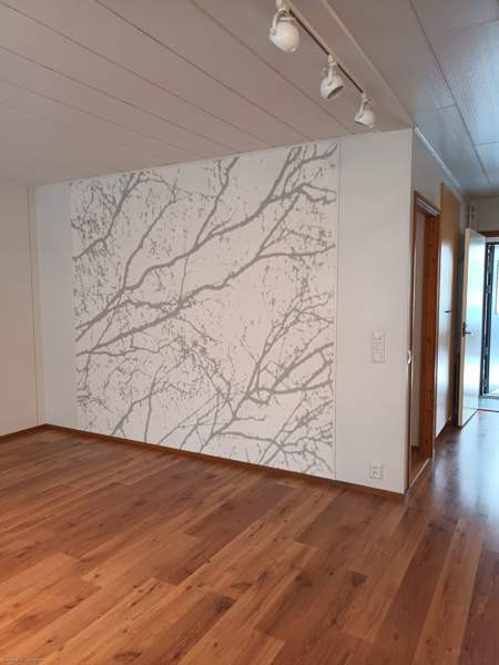 3h  + s  Vaala - valokuva 4