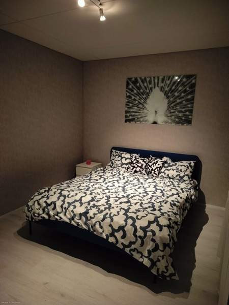 5h + s  Rovaniemi - valokuva 7