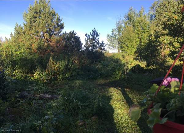 5h + k  Kajaani – foto 8