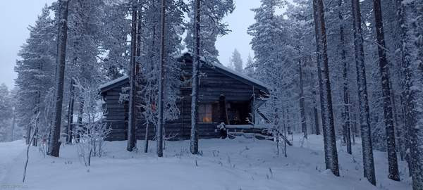 3h + avok + s + parvi  Kifri - valokuva 1