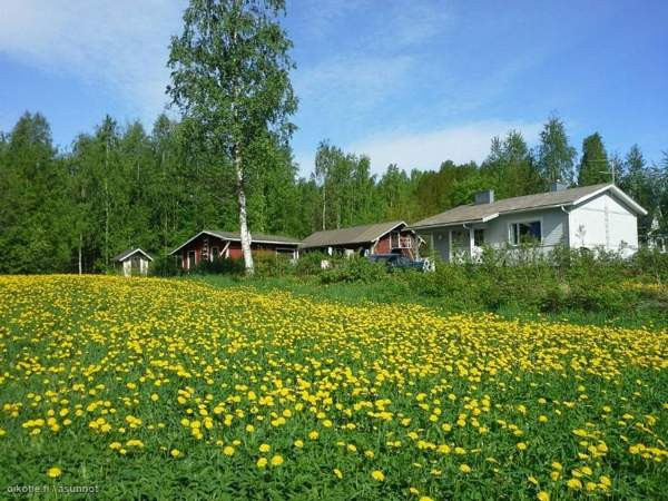 3h + s  Kuopio - valokuva 2