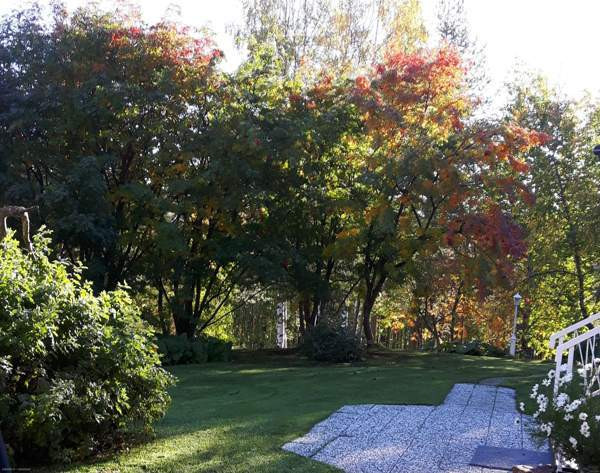 6h + k + s + p  Lodeynoye Pole – foto 7