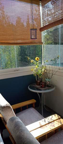 2h + p  Imatra – foto 3