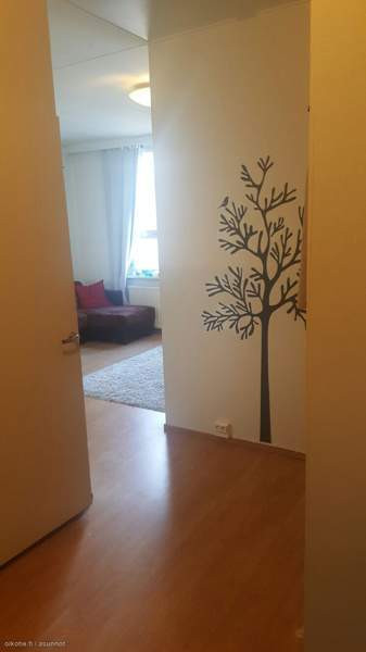 1h  Orivesi - valokuva 3