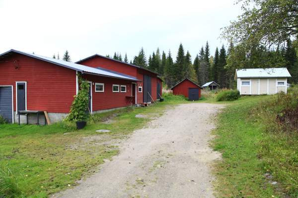 2h + avok + s  Juuka – foto 4