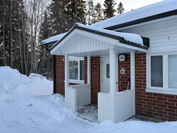 3h + s  Каяни - изображение 1