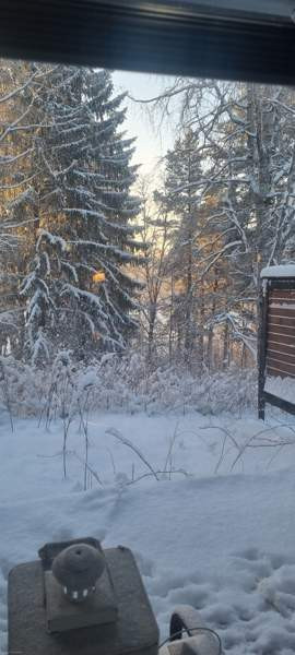 3h + avok + s + p  Куопио - изображение 1