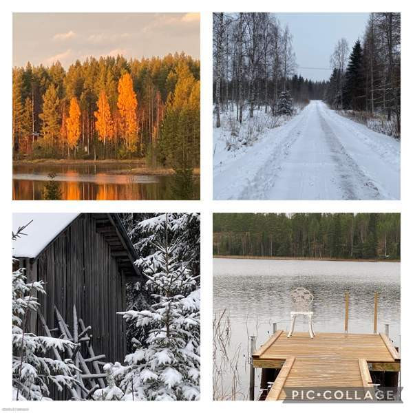 4h,k,apuk.,ph, s  Sotkamo – foto 3