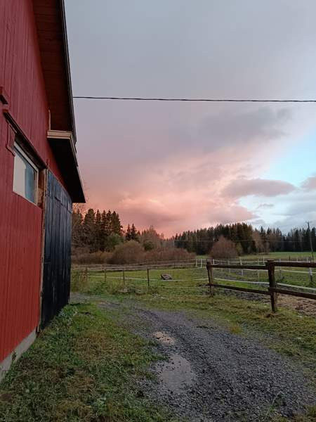 4h  Kruunupyy – foto 5