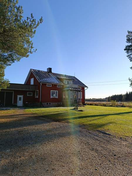 4h  Kruunupyy – foto 2