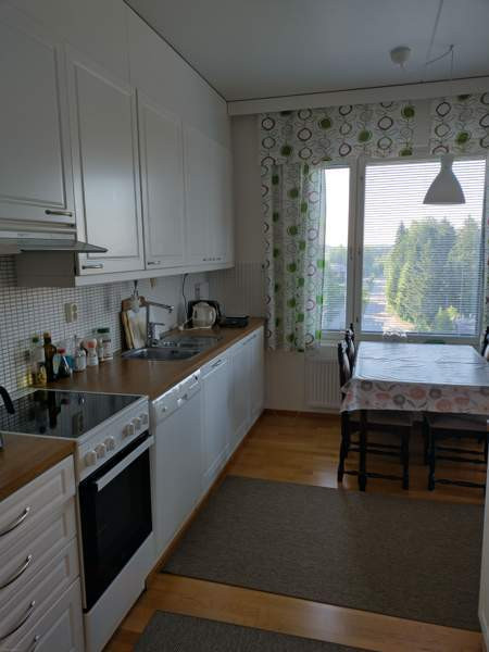 2h + k + s + p  Hyvinge - photo 7